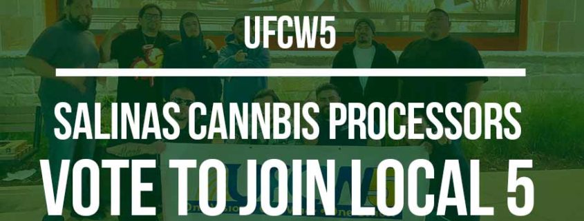 UFCW5 digital banner